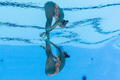 组图：游泳世锦赛开幕 花游队员演绎水下芭蕾