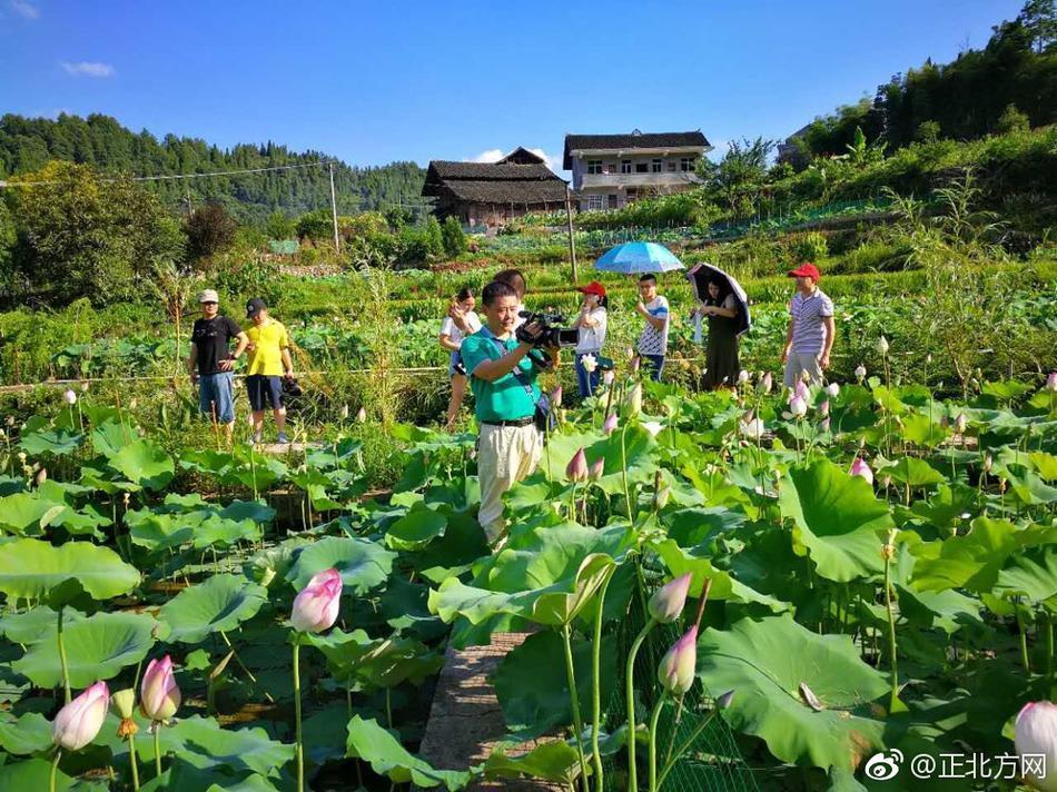 新化县吉庆镇各村人口_新化县桑梓镇大坪村