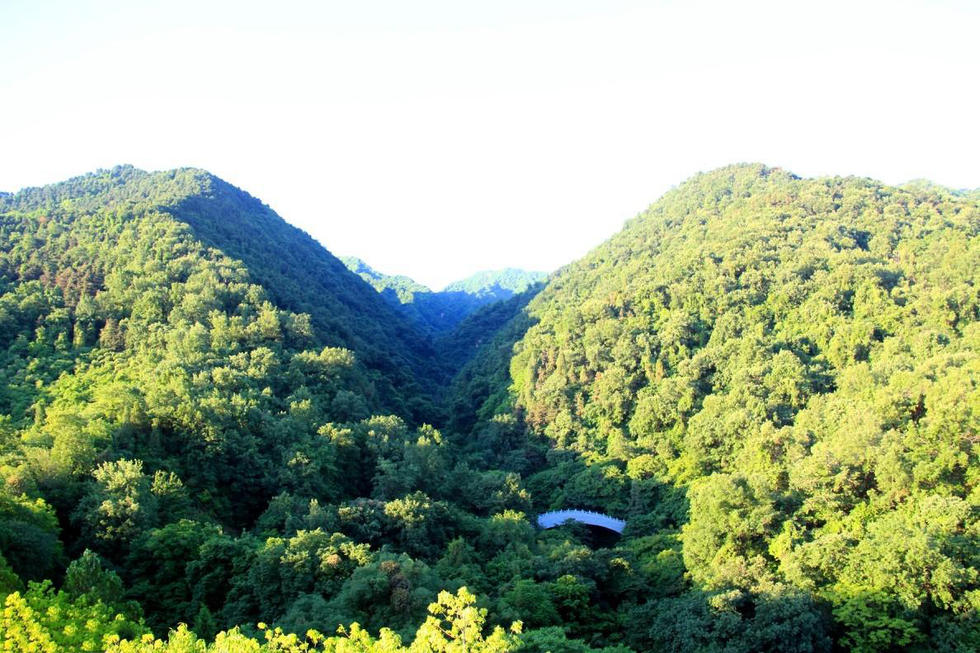 抢先看秦岭国家植物园