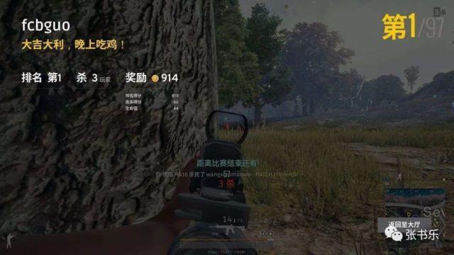 吃鸡排名查询_吃鸡头像(3)