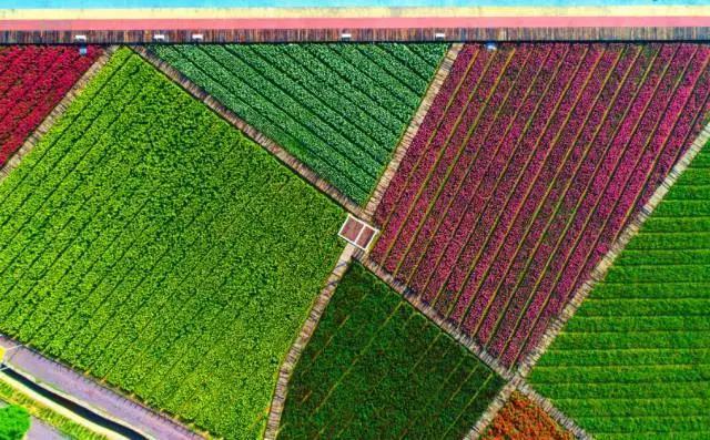乌鲁木齐花田小镇图片