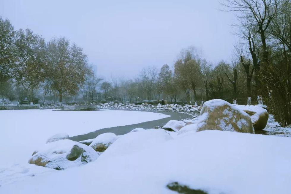 初雪驾到!河北最美雪景全在这里啦