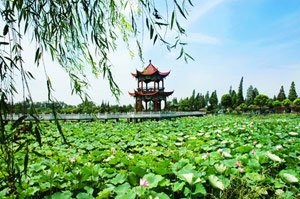 洪湖蓝田生态旅游风景区 可观赏