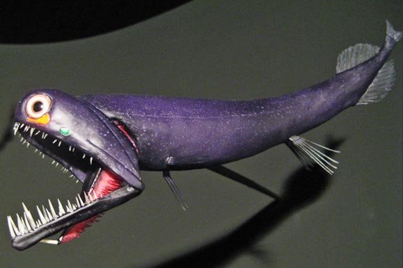 组图:柏林深海奇异生物展 管状怪兽同人高