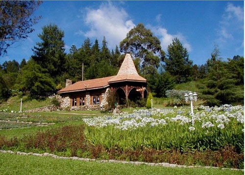 足球美女桑巴舞 金砖四国之巴西极具活力_巴