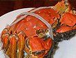 周末美食游 品味阳澄湖大闸蟹