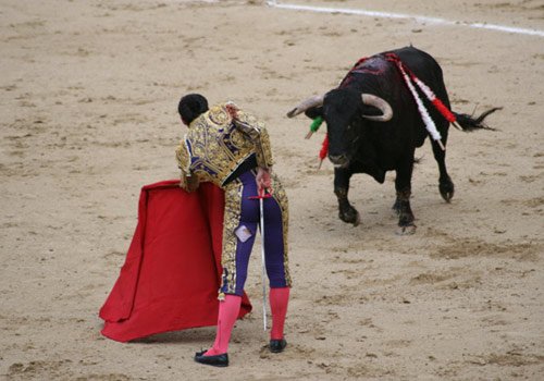 组图:独具特色的西班牙斗牛运动