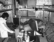 80后选大城市or小城市
