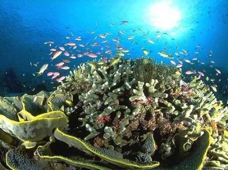 泰国游几大经典看点