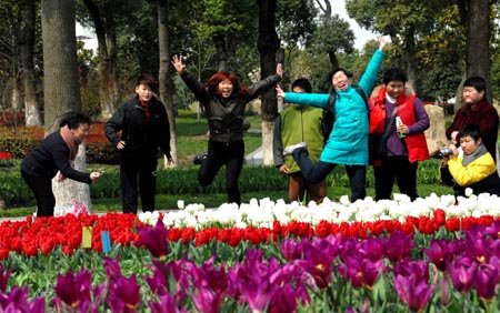 上海鲜花港郁金香_上海鲜花港_罗马柱鲜花