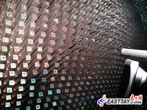 记者体验英国馆:送给中国的种子礼物(图)