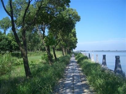 秋游上海淀山湖骑行串游很逍遥(图)