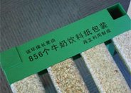 水乡流动的生命