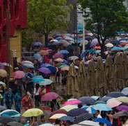 雨中参观世博的游客
