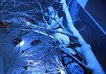 Quest Jilin paviljon