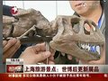 Video: Turističke atrakcije ažuriraju izložaka iz fosila dinosaura koji se nalaze u Muzeju znanosti i tehnologije