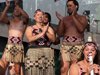 Maori Bold ngoma