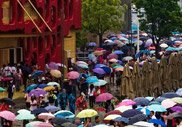 500万:开园第23天 适宜的气候使参观者游兴大增
