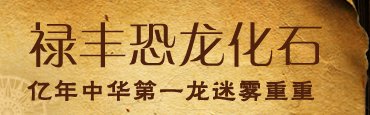 Kina Dragon "guste magle World Expo bit će doniran