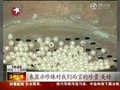 视频：珠宝闪耀巴林馆 铜人诉说四千年采珠史