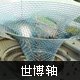 Expo os