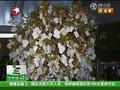 Video: Singapore banda njano wanaotaka Tree Wageni Wanaotaka maisha bora