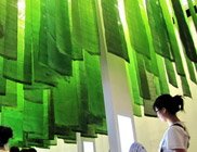 世博让绿色革命、低碳经济、新能源产业大行其道