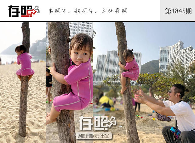【存照】男明星带娃：陈小春把儿子抛泳池，陈浩民教女儿爬树