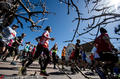 组图：瑞典半程马拉松 情侣携手开跑撒狗粮
