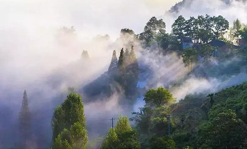 浙中山坳里有个云中古村落 雨雾缥缈原始宁静