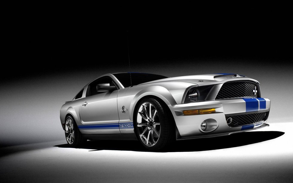 3033808_980x1200_0.jpg