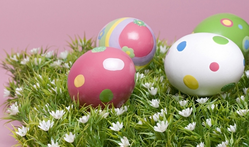 疯狂鸡蛋 色彩斑斓彩绘蛋