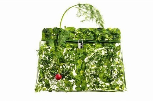 品尝水果做成的爱马仕Kelly包_大渝网_腾讯网