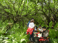 ����鿴��3��ͼƬ