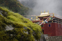 ����鿴��1��ͼƬ