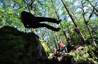 ����鿴��7��ͼƬ