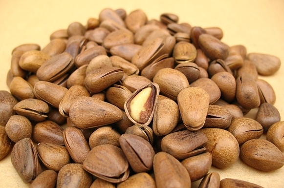 冬季吃松子的5大功效作用