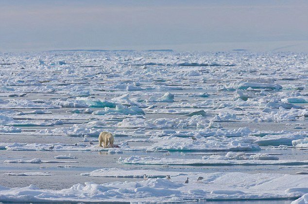 挪威是属于英国吗 3150433_980x1200_0.jpg