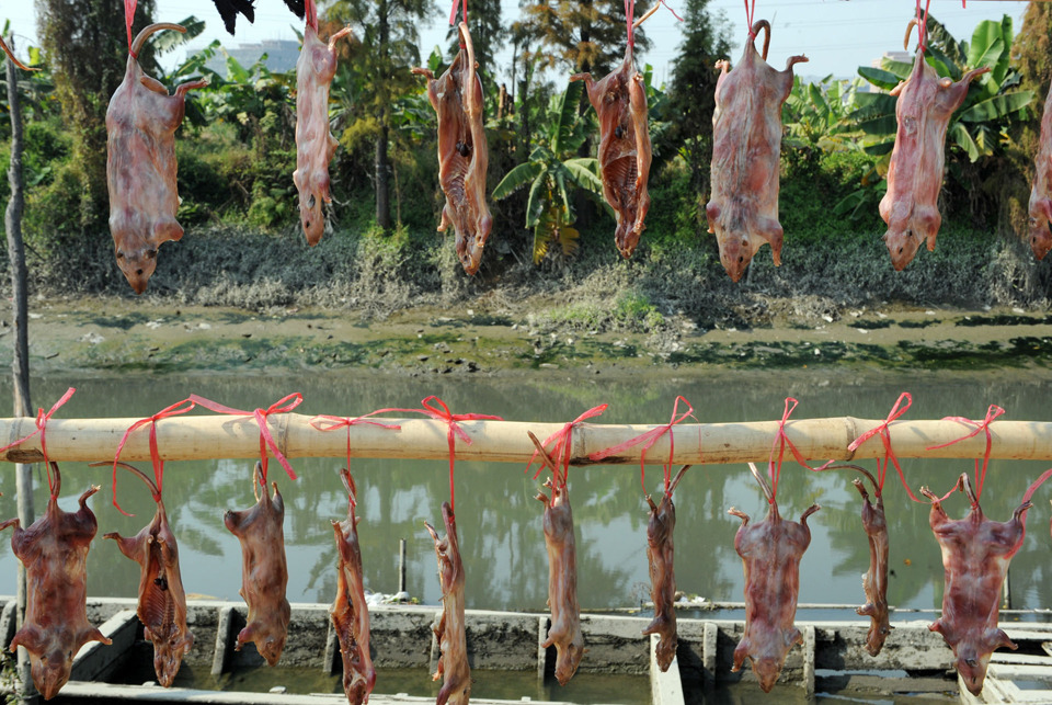 东莞老鼠干受欢迎 百蚊一斤胜腊肉_阳光少年乐园_西祠胡同