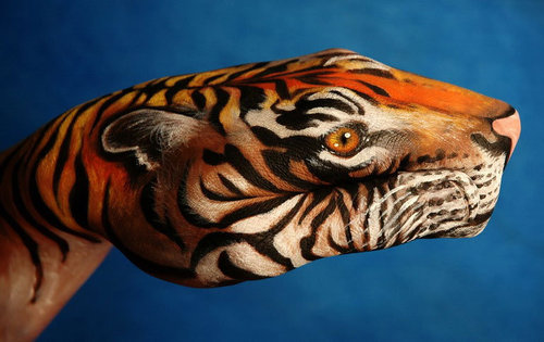 艺术奇葩 油画家手上画出"动物世界"