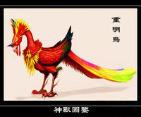 ����鿴��16��ͼƬ