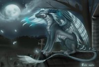 ����鿴��19��ͼƬ