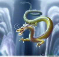 ����鿴��20��ͼƬ