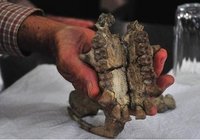 盘点2011考古发现 探玛雅文化证末日论(组图)