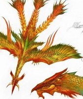 ����鿴��30��ͼƬ