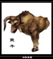 ����鿴��31��ͼƬ