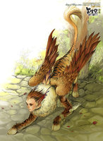 ����鿴��33��ͼƬ