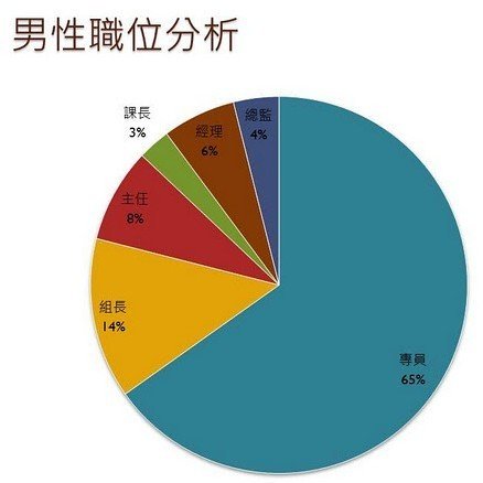 工资收入证明模板_员工工资 收入 比例(3)