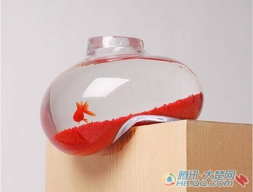 精致创意生活 软化了的气泡玻璃鱼缸