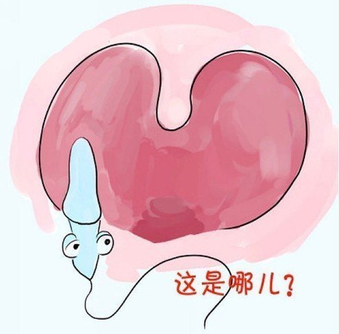 戒掉抽烟喝酒 看精子先生各种死法(图)_大楚网